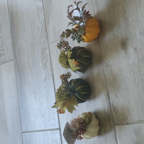 NWT 4 Ashland Mini tabletop Pumpkins - Picture 1 of 12